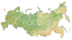 грузоперевозки по России